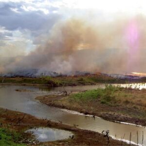 brazil, ceará, environmental pollution